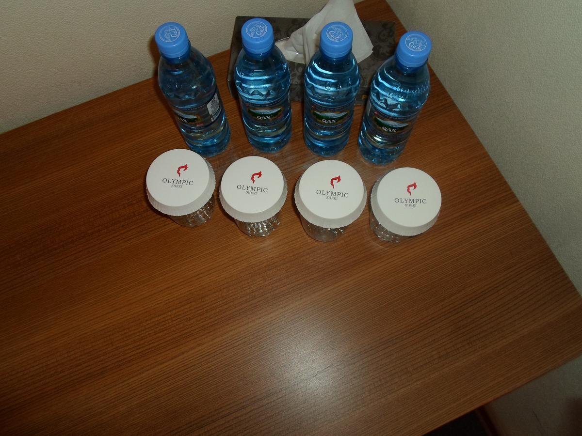 Sheki Olimpiya Hotel & Resort Luaran gambar