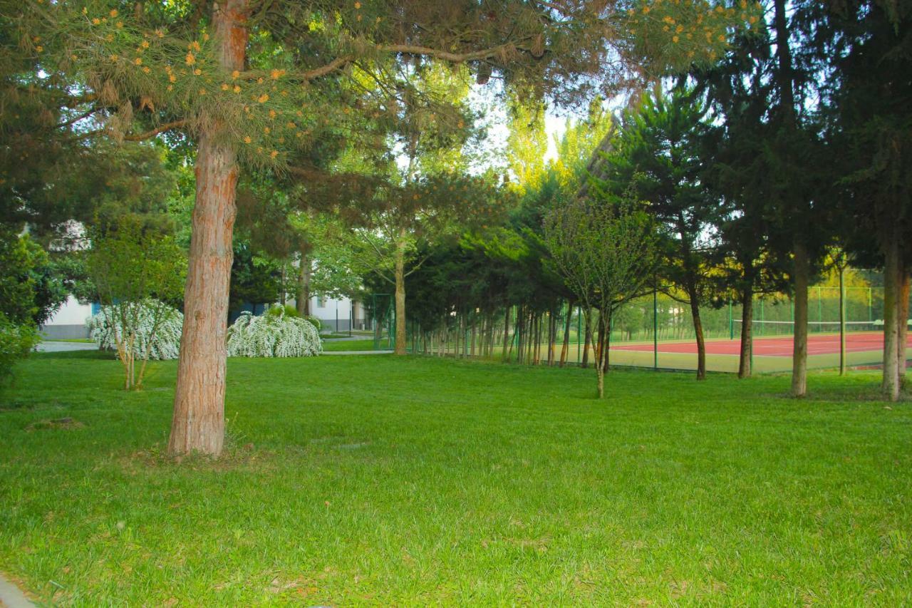 Sheki Olimpiya Hotel & Resort Luaran gambar