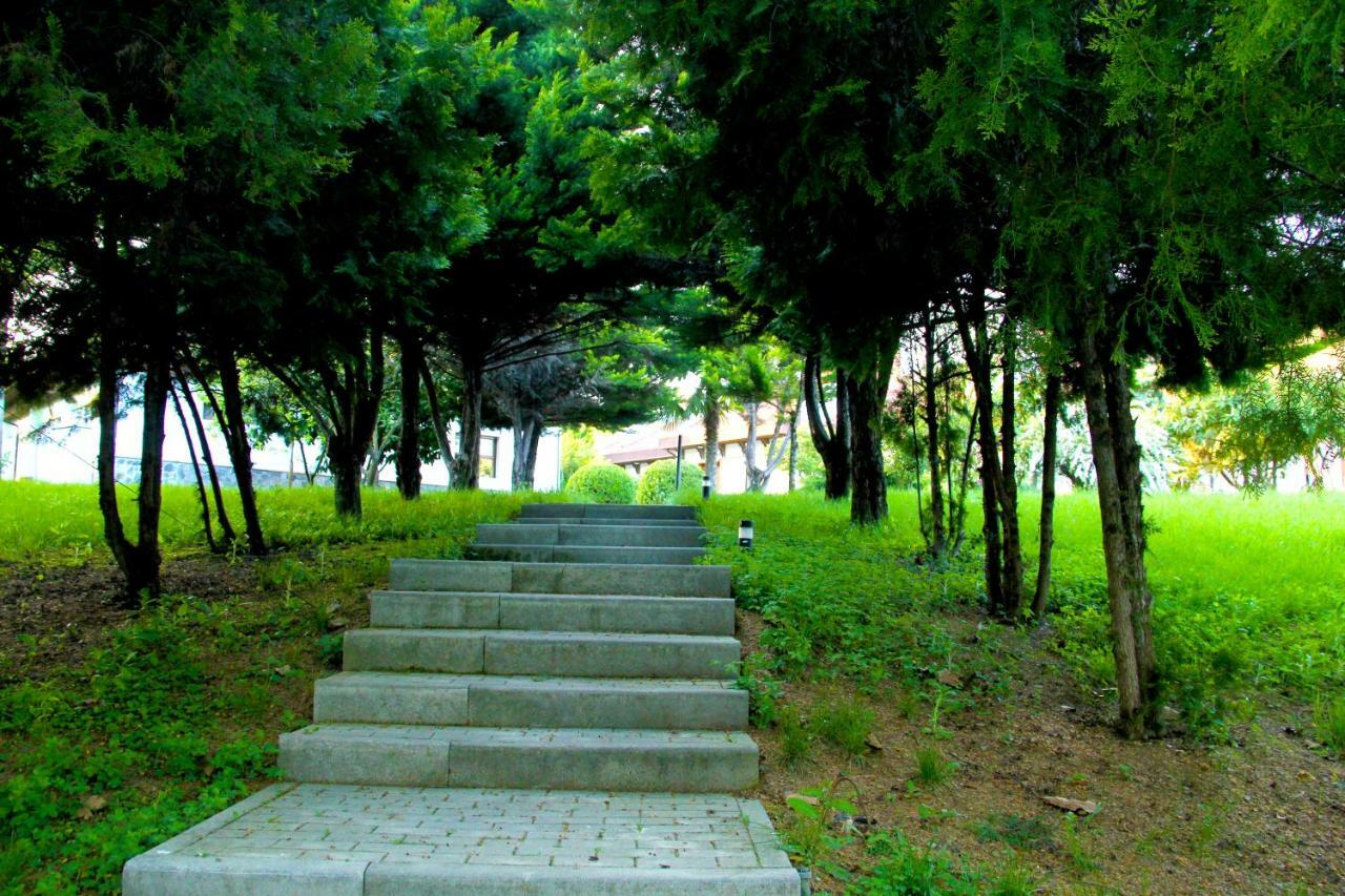 Sheki Olimpiya Hotel & Resort Luaran gambar